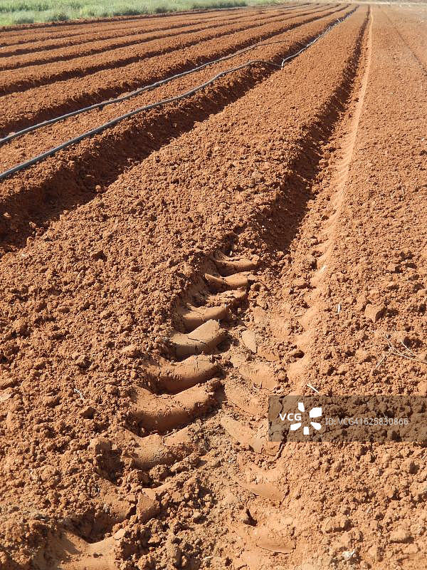 以色列中部田野里的犁沟图片素材