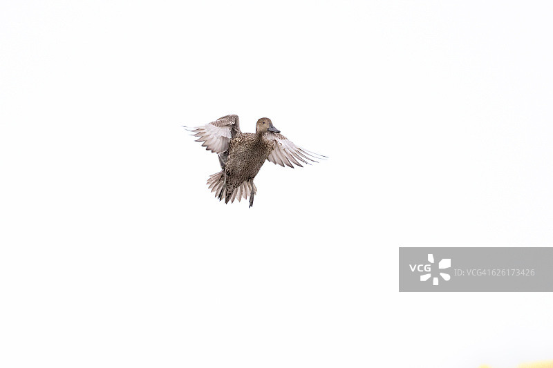 方向改变图片素材