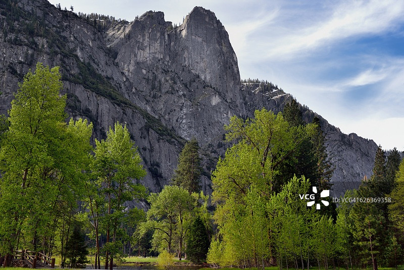 树木和蓝天白云风景图片素材