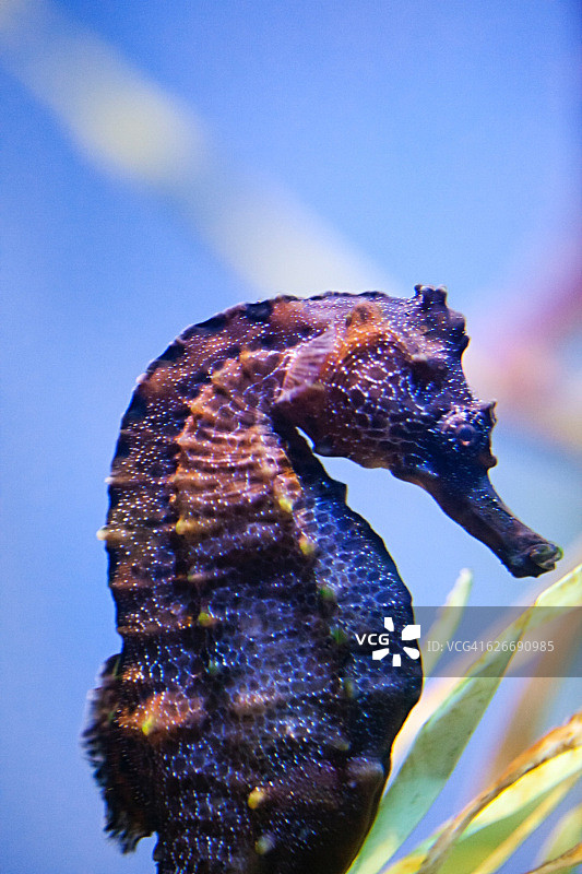 水下的场景图片素材