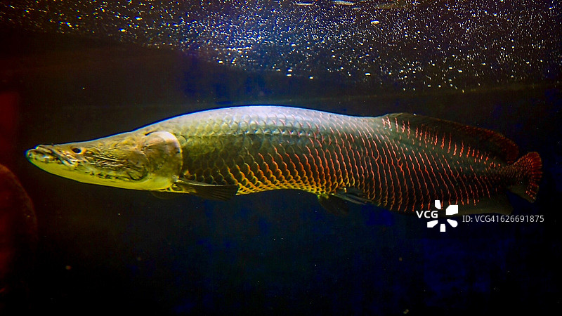 水下的场景图片素材