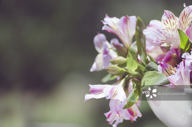 色彩故事-蜡笔图片素材