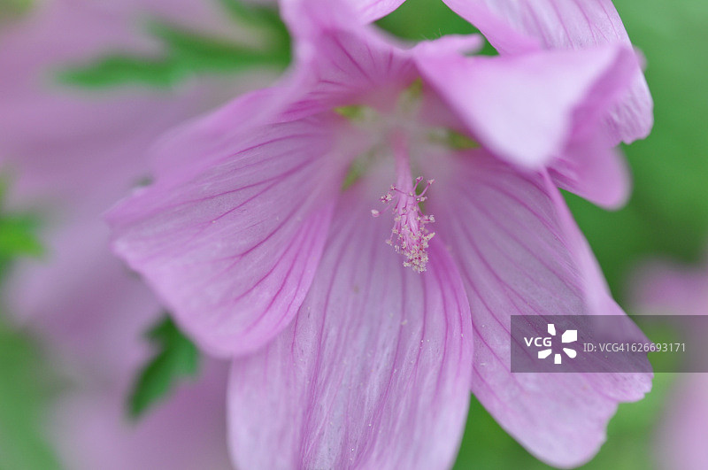 色彩故事-蜡笔图片素材