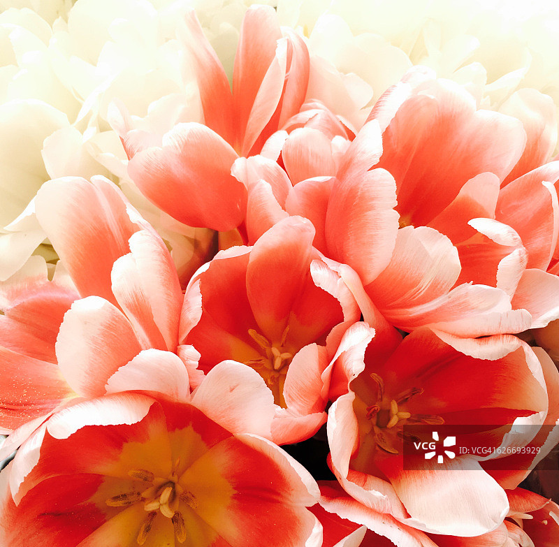 色彩故事-蜡笔图片素材