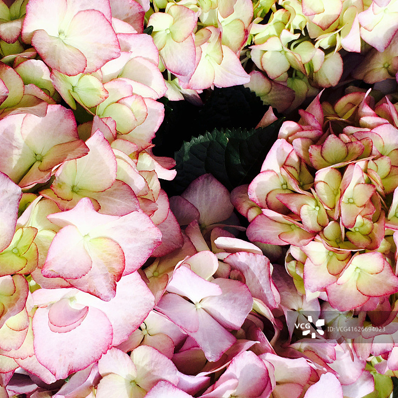 色彩故事-蜡笔图片素材