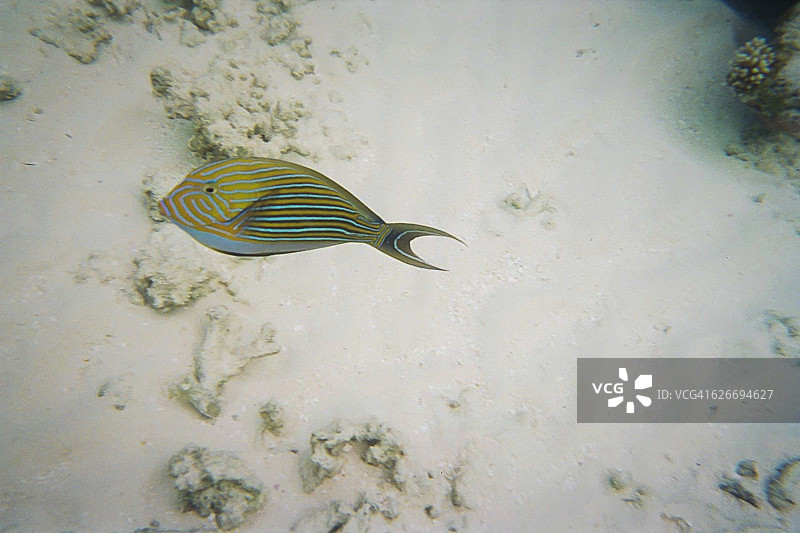 水下的场景图片素材