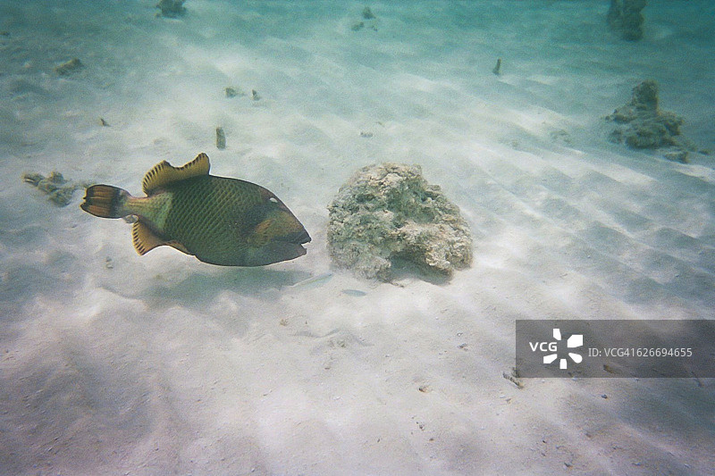 水下的场景图片素材