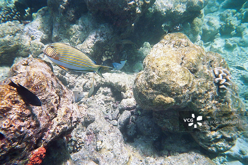 水下的场景图片素材