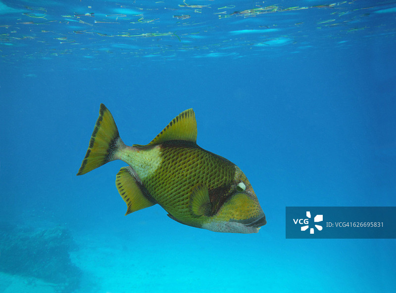 水下的场景图片素材