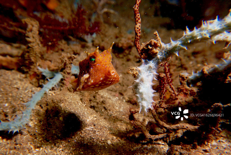 水下的场景图片素材