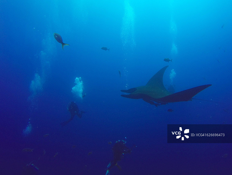 水下的场景图片素材