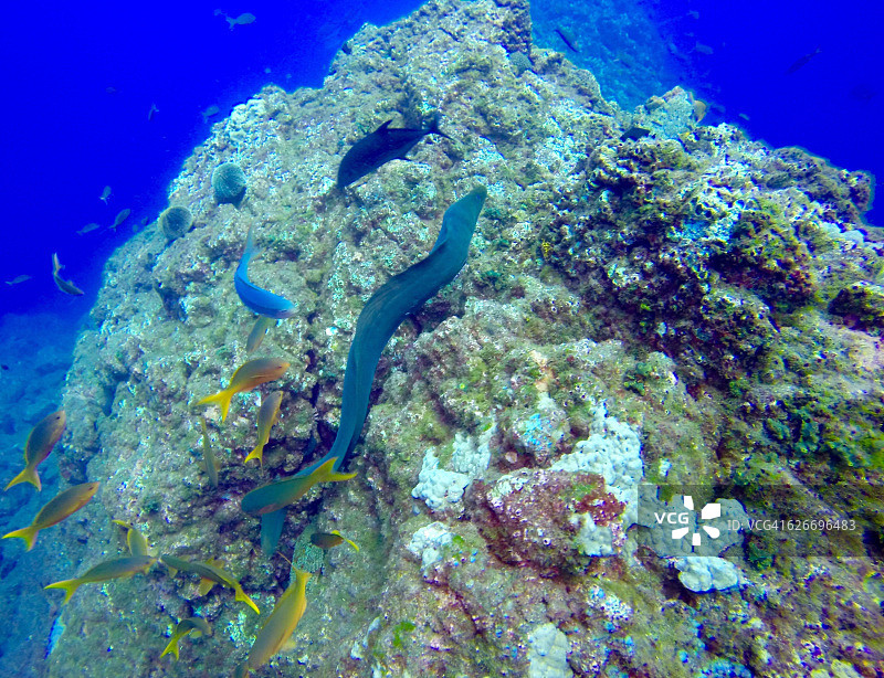 水下的场景图片素材
