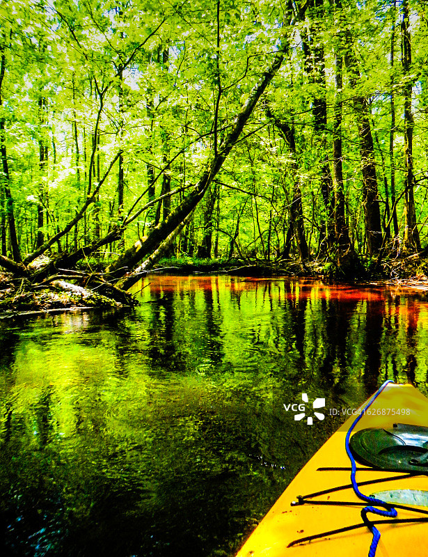 南卡罗来纳州哥伦比亚附近，康加里国家公园的雪松溪图片素材
