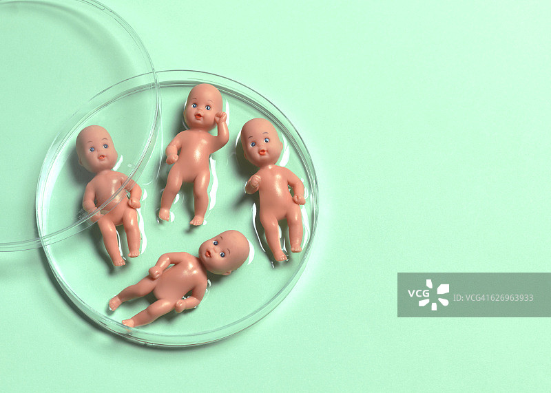 试管婴儿图片素材