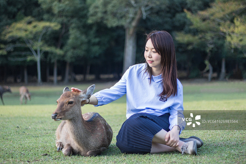 在奈良公园与鹿同坐的漂亮年轻女人图片素材