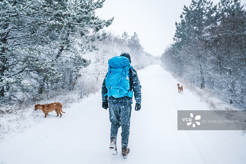 我和我的狗狗在雪地里图片素材