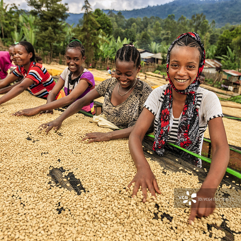 非洲女孩和妇女分拣咖啡豆，东非图片素材