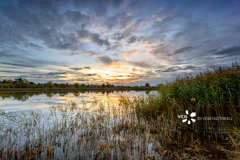 亨廷顿郡辛钦布鲁克乡村公园的芦苇日落图片素材