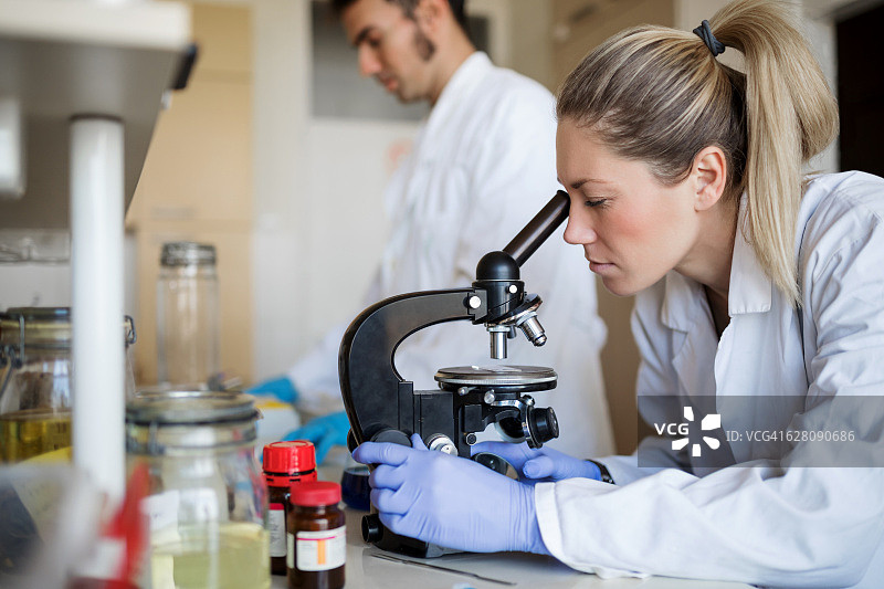 正在用显微镜观察的女性生物学家图片素材
