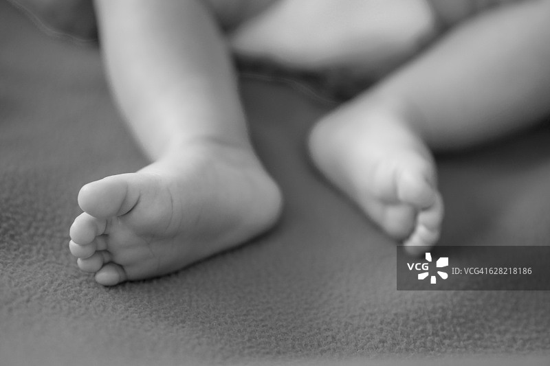 婴儿女孩的脚丫图片素材