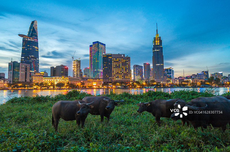 胡志明市西贡河畔的壮丽日落图片素材
