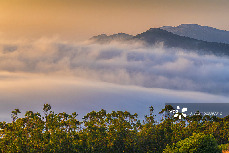 前景树木、背景雾和山脉的日落景观图片素材