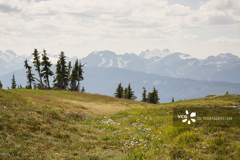 加拿大不列颠哥伦比亚省绿草高山高原图片素材