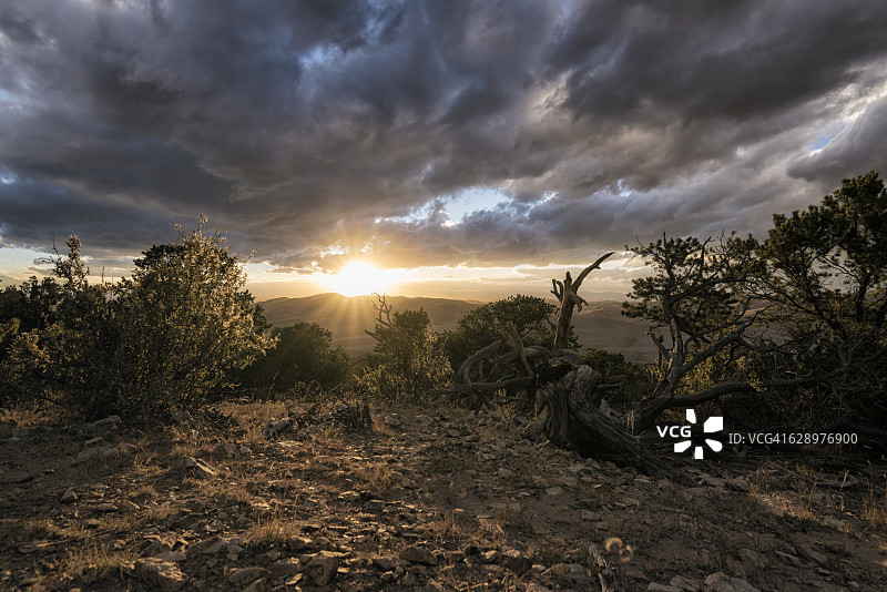 美国科罗拉多大沙丘国家公园图片素材