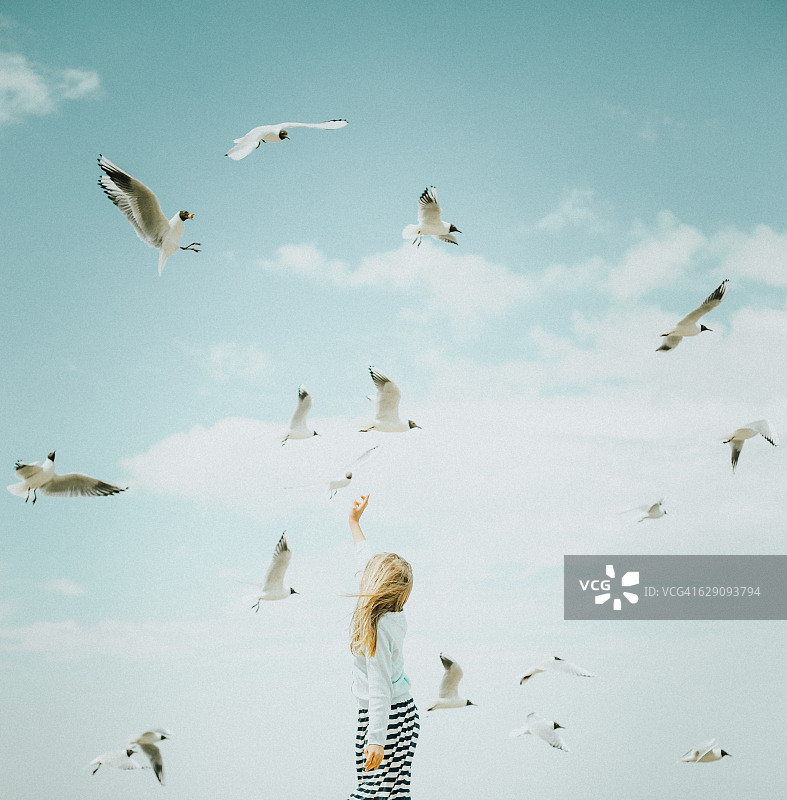 小女孩与海鸥图片素材