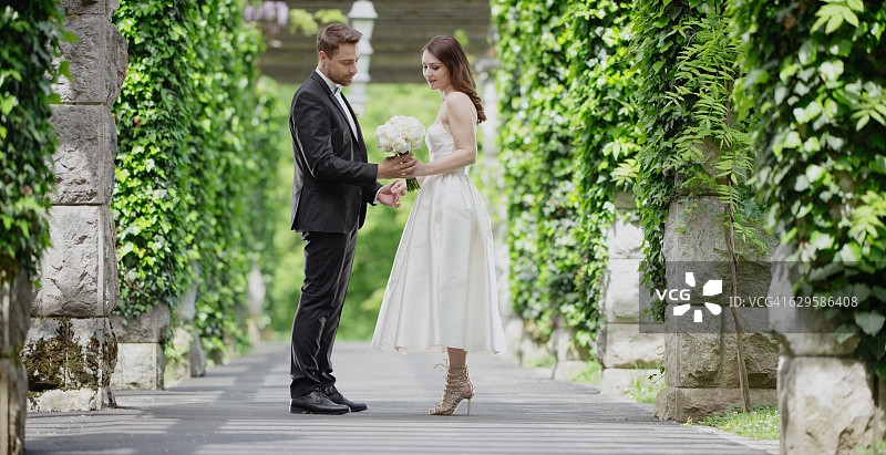 公园里的新娘和新郎图片素材