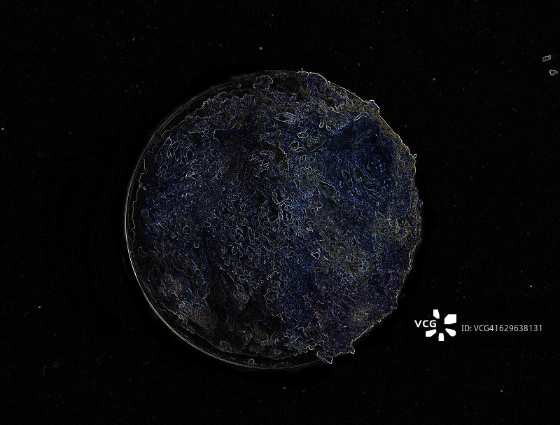 霉菌生长图片素材