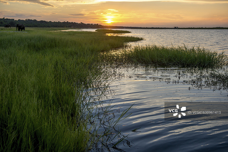 乔贝河与非洲象，乔贝国家公园日落图片素材