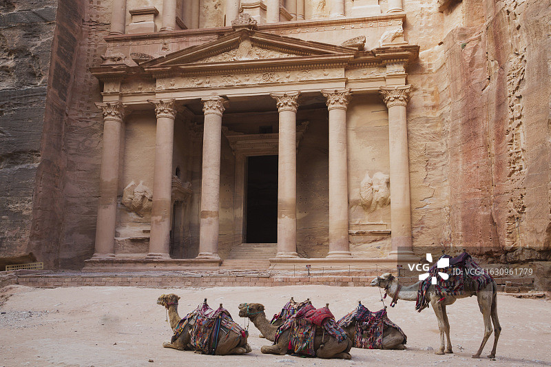 财政部前的骆驼图片素材