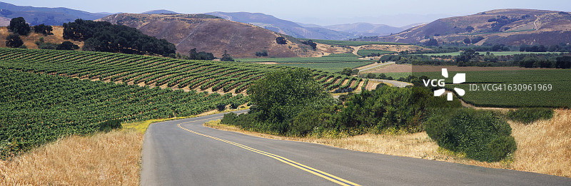 圣伊内斯山谷初夏葡萄园风光图片素材