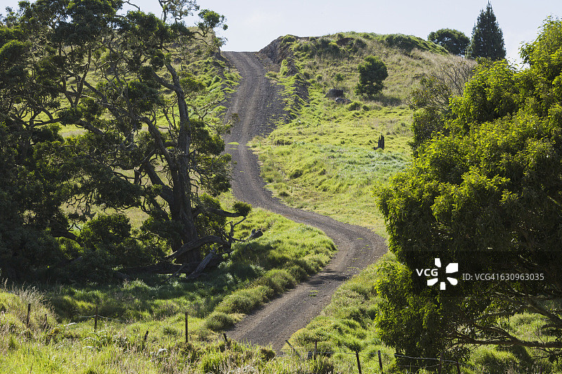 四轮驱动车行驶在莫纳克亚山脚下的马纳路上，左侧是寇阿相思树图片素材