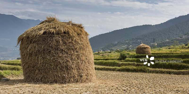 一捆棕色干草图片素材
