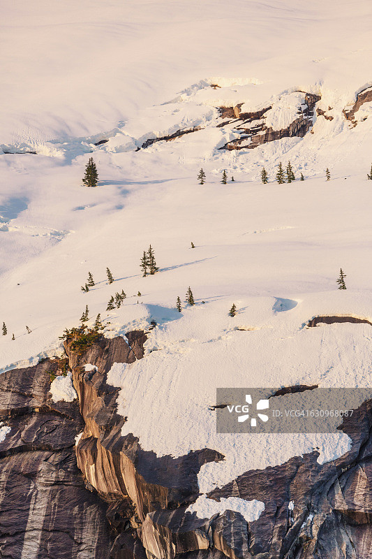 日落时分，国王湾，威廉王子湾的积雪山峰和稀疏的常绿树木图片素材