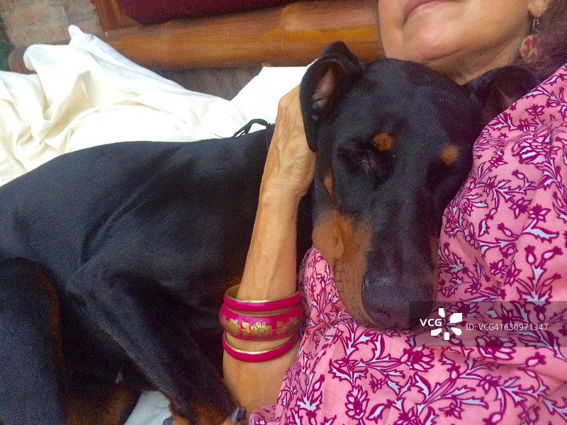 关爱您的宠物 - POV图片素材