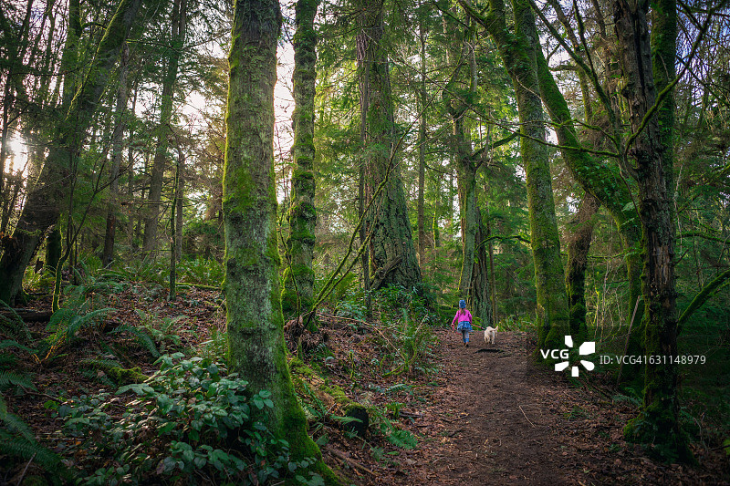 女孩带着金毛幼犬在森林中奔跑图片素材
