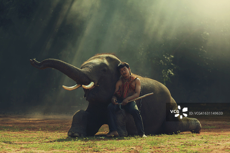 驯象员和大象图片素材