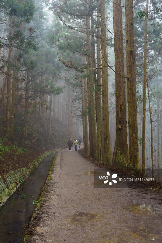 三人在日本长野地狱谷猴园散步图片素材