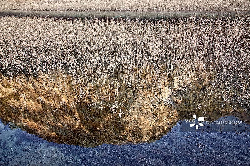 沼泽芦苇与河流中的山景倒影图片素材