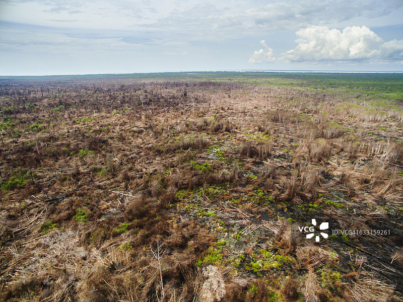 加里曼丹中部火灾破坏航拍图片素材