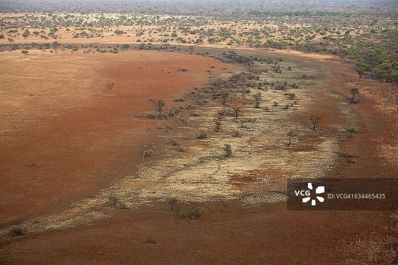 乍得扎库马国家公园的草原树木图片素材