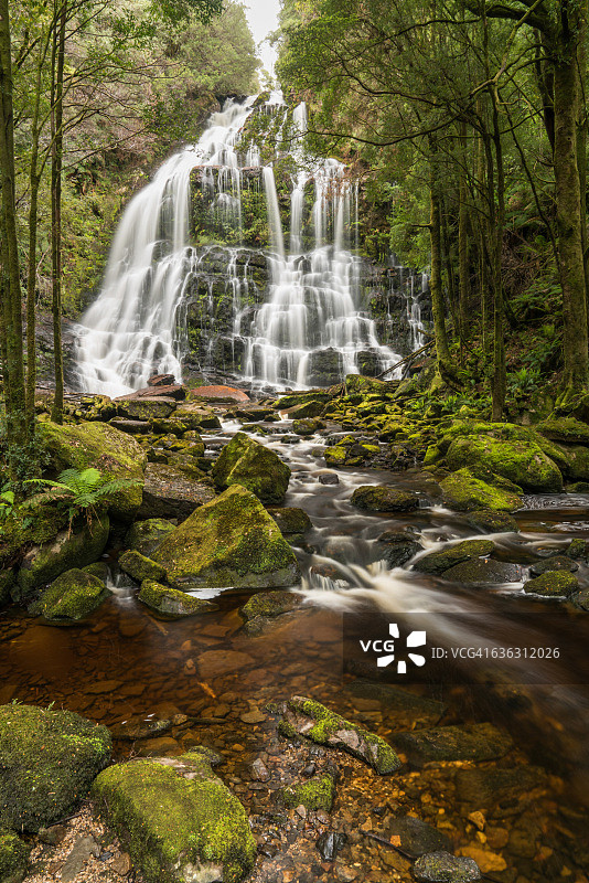 塔斯马尼亚尼尔森瀑布图片素材