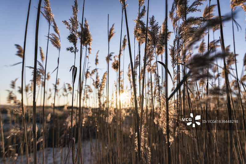 美国罗德岛海景图片素材
