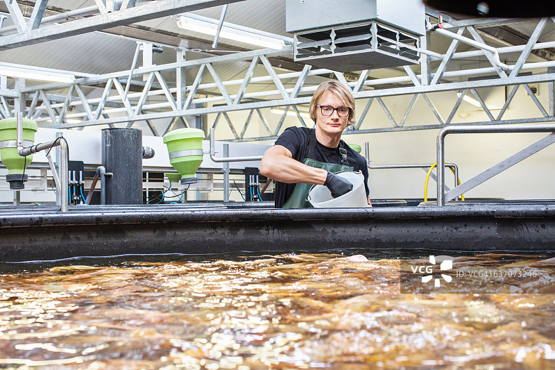 在养鱼场工作的男人图片素材