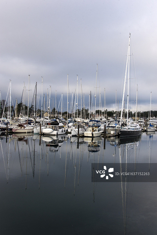 西德尼小船港图片素材