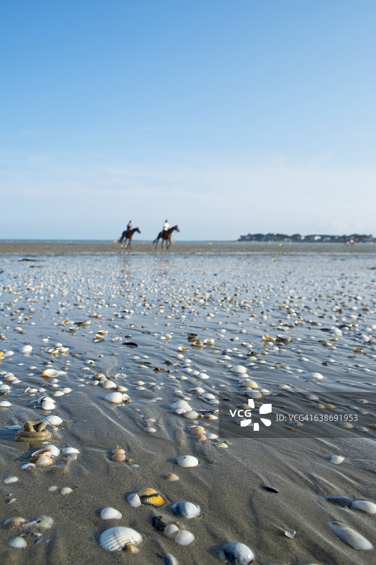 法国拉博勒海滩骑马图片素材