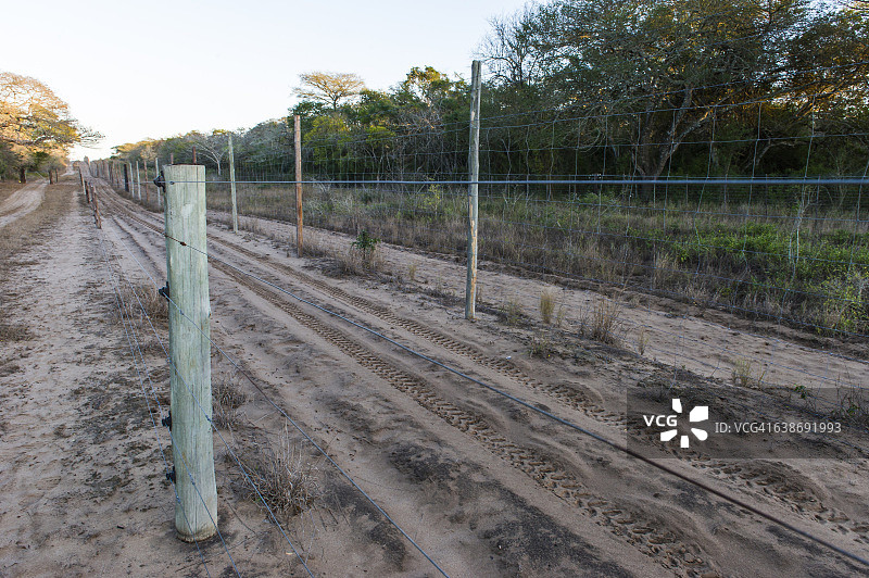 滕贝大象公园的边界围栏（南非夸祖鲁-纳塔尔省祖鲁兰）图片素材